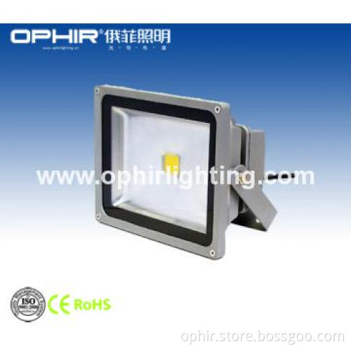 Stainless Steel Waterproof BridgeLux 30W LED Flood Lights
